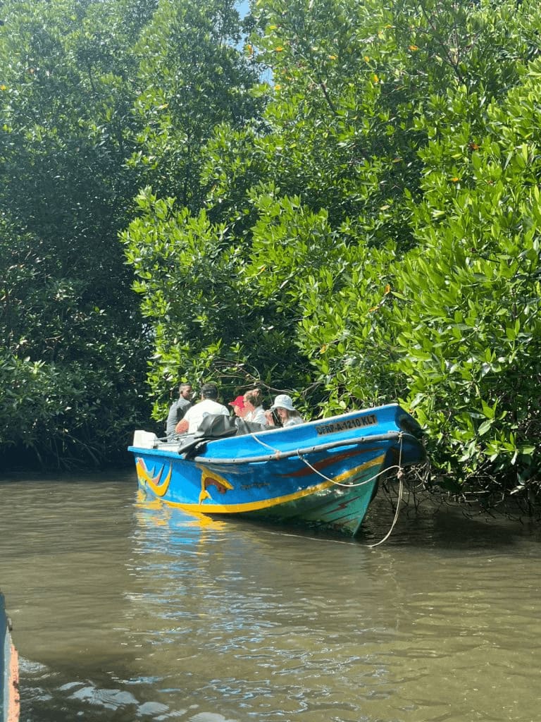 Bentota River Safari