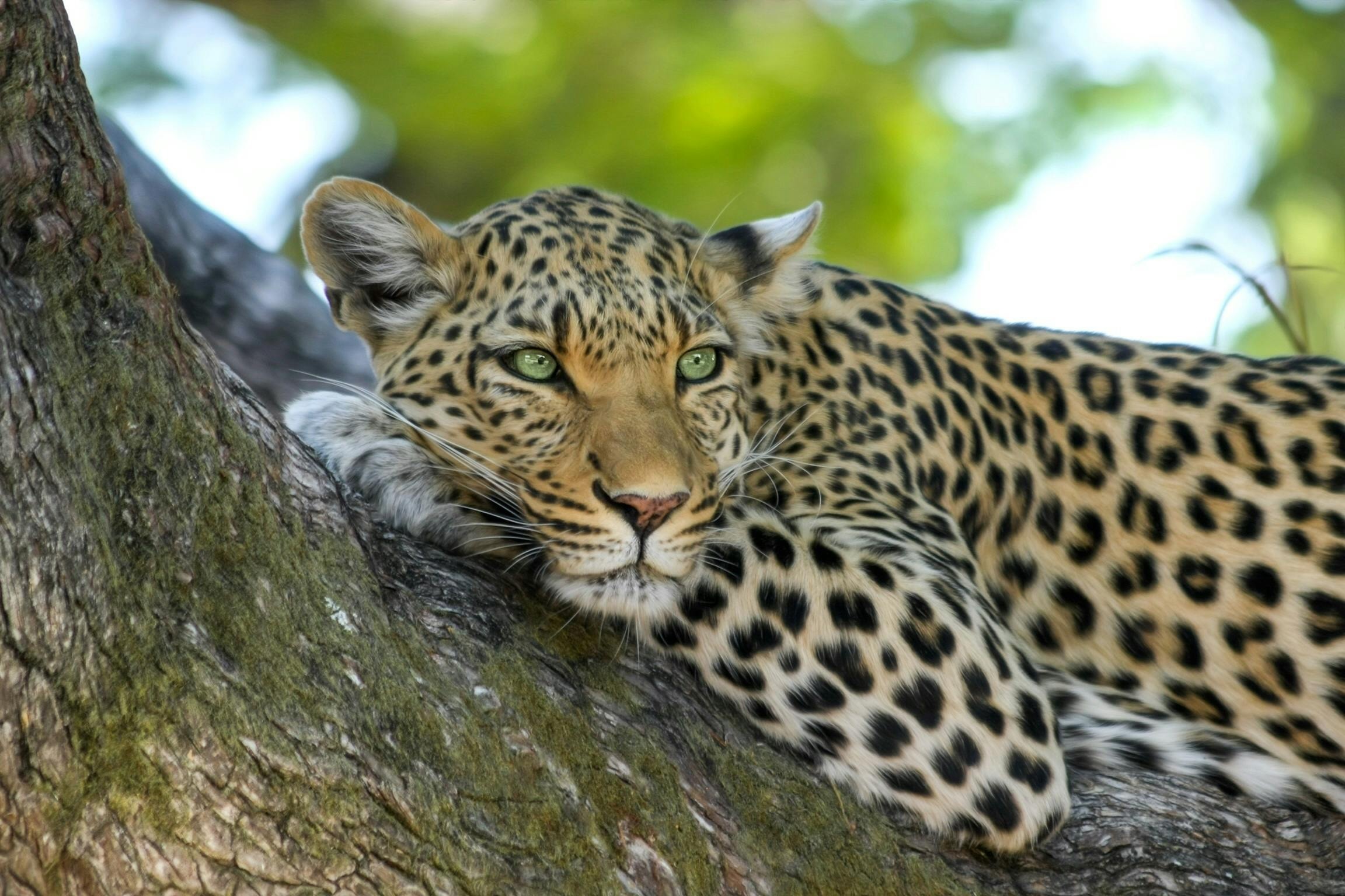 Beautiful Sri Lanka Tour