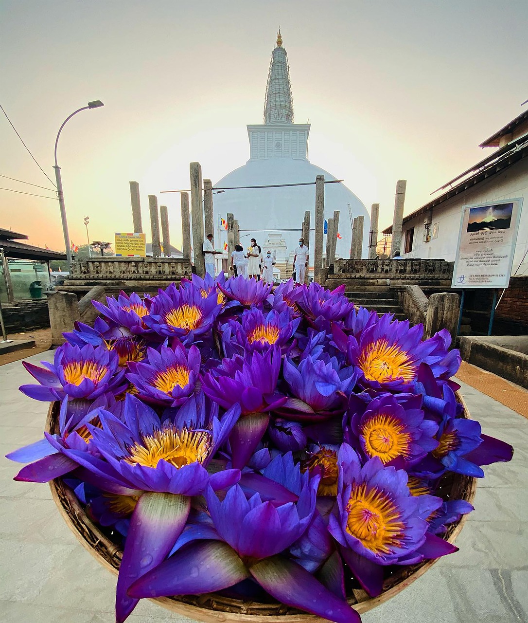 Anuradapura