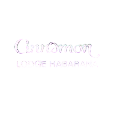 Hotel Logo
