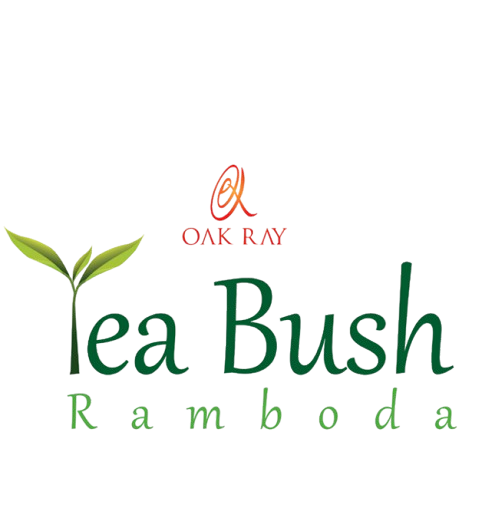 Hotel Logo