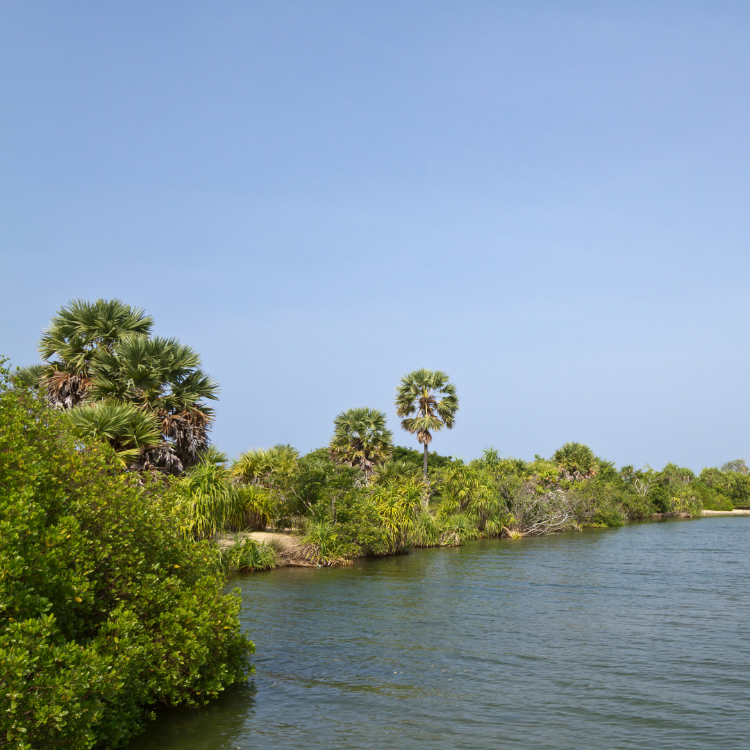 Dutch Fort