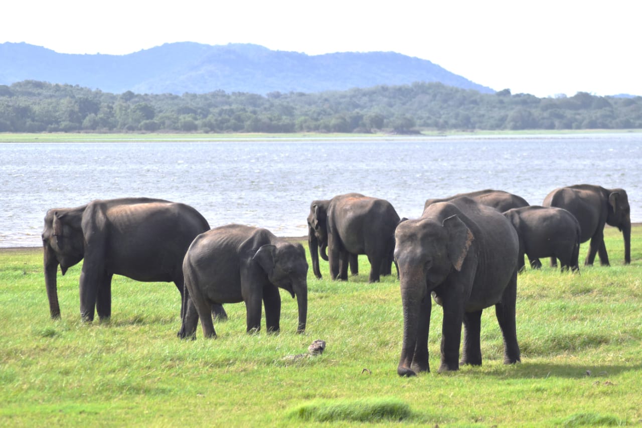 Sri Lanka Taxi Tour 2
